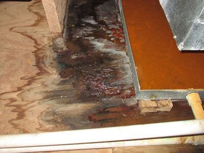 About First Guard Restoration - water damage restoration experts in Aurora